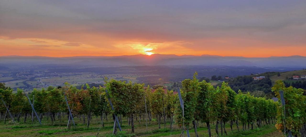 Appartamento Wein- Und Weitblick Gleinstätten Esterno foto