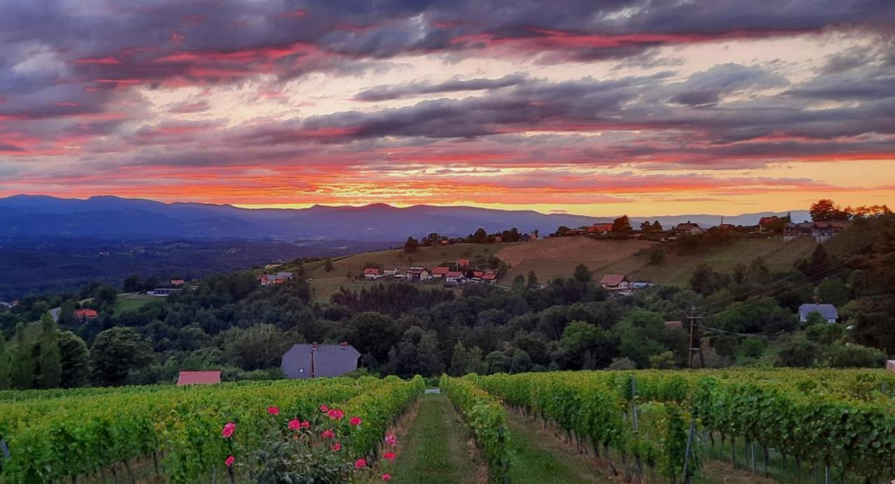 Appartamento Wein- Und Weitblick Gleinstätten Esterno foto